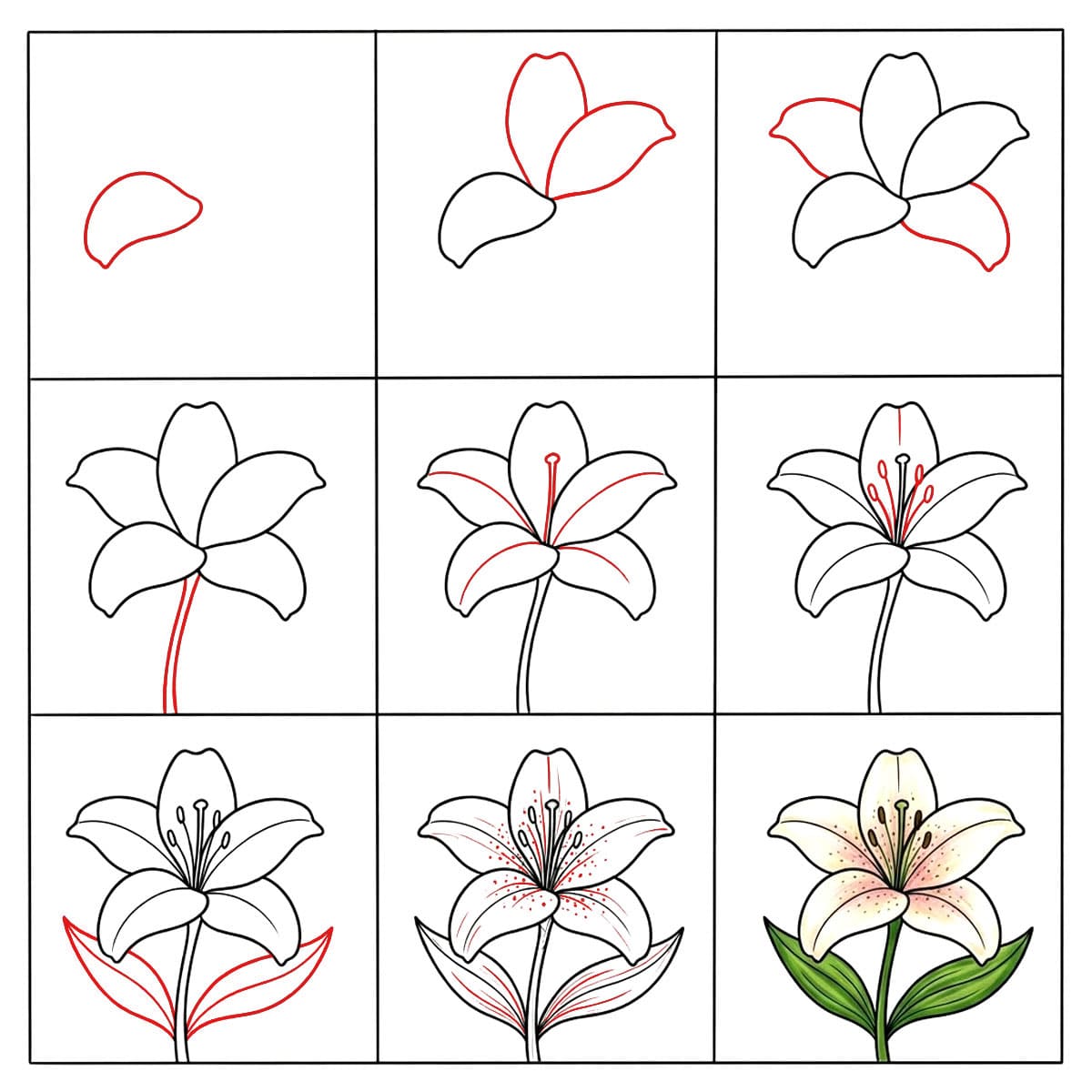 Dibujos de Lirio adorable