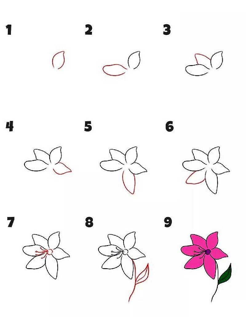 Dibujos de Lirios