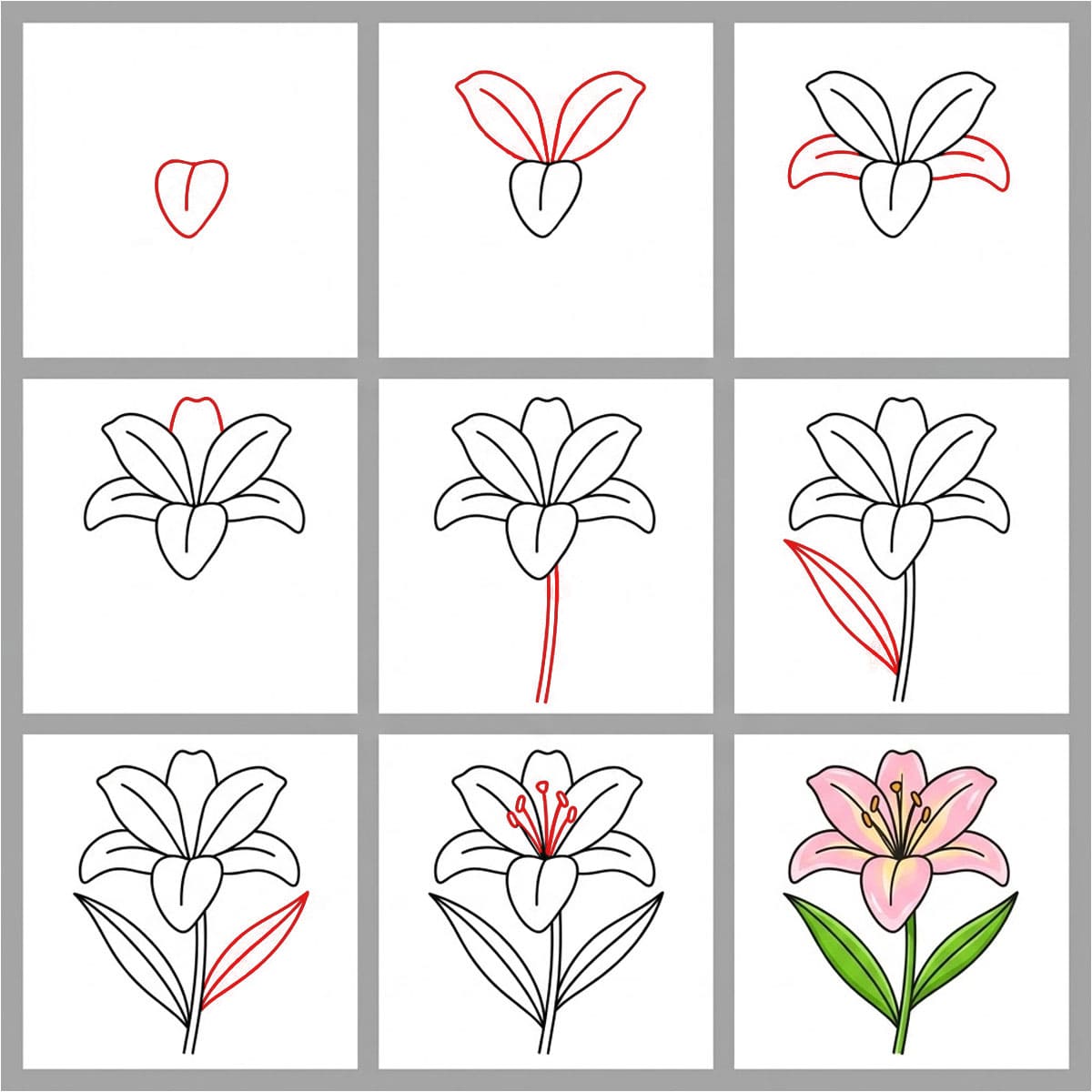 Dibujos de Lirio bonito