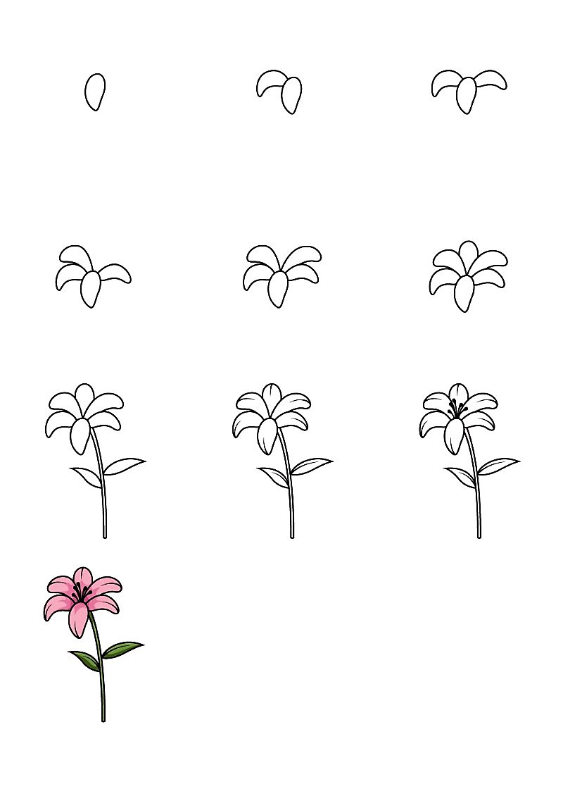 Dibujos de Lirio detallado