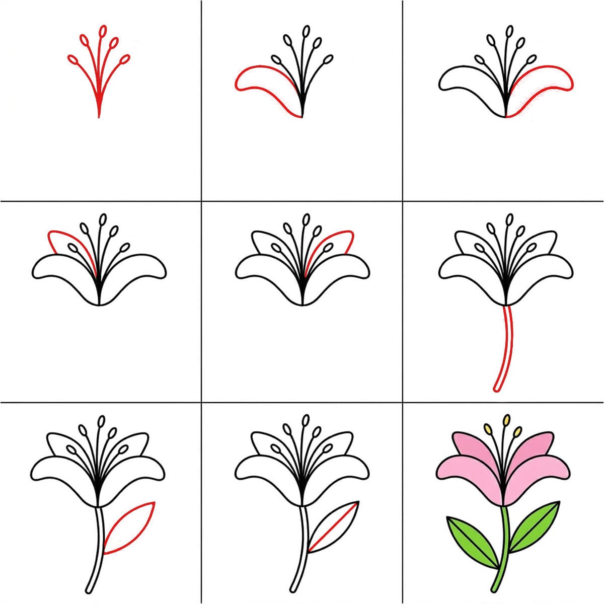 Dibujos de Lirio en flor