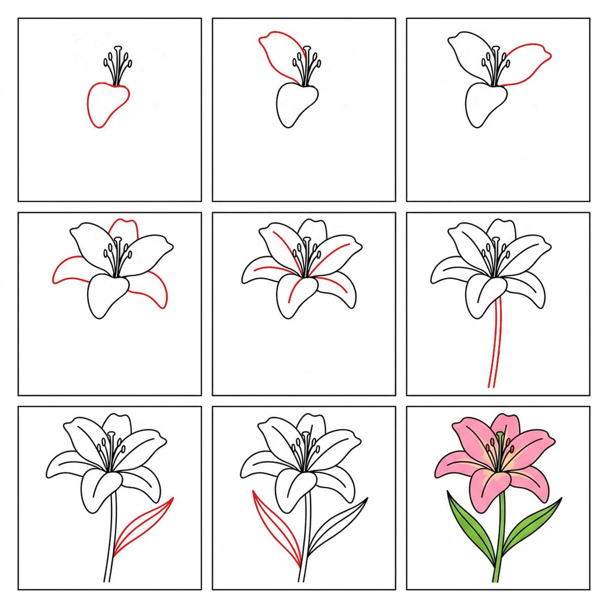Dibujos de Lirio fácil
