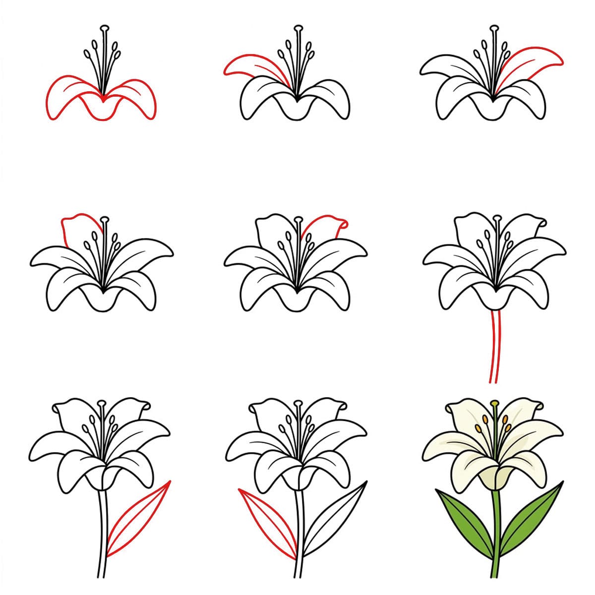 Dibujos de Lirio feliz