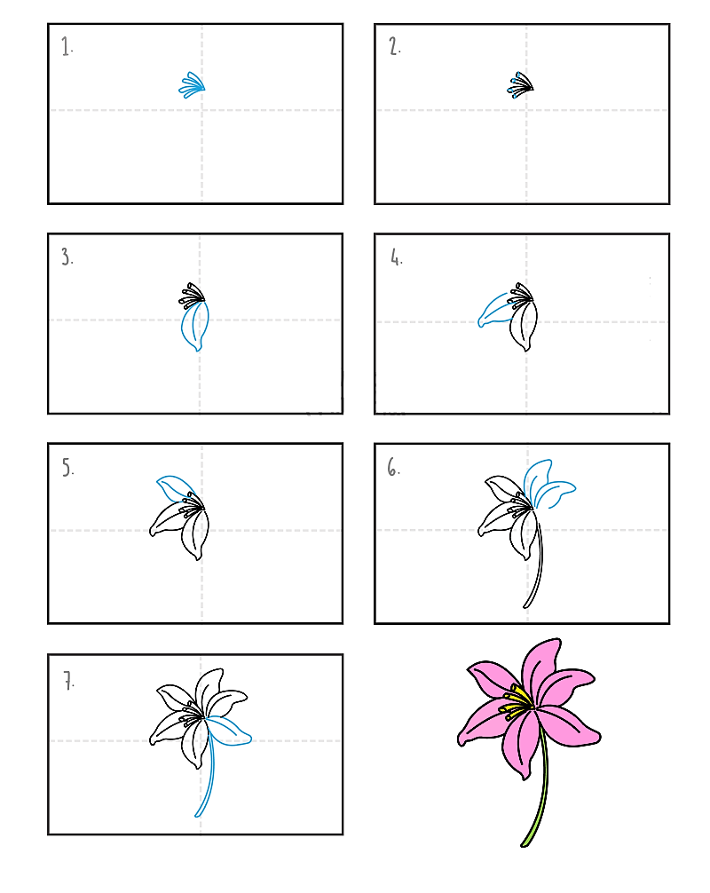 Dibujos de Lirio floreciendo