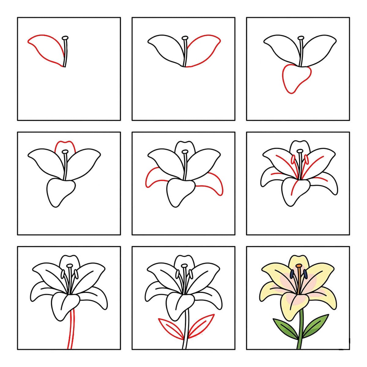 Dibujos de Lirio kawaii