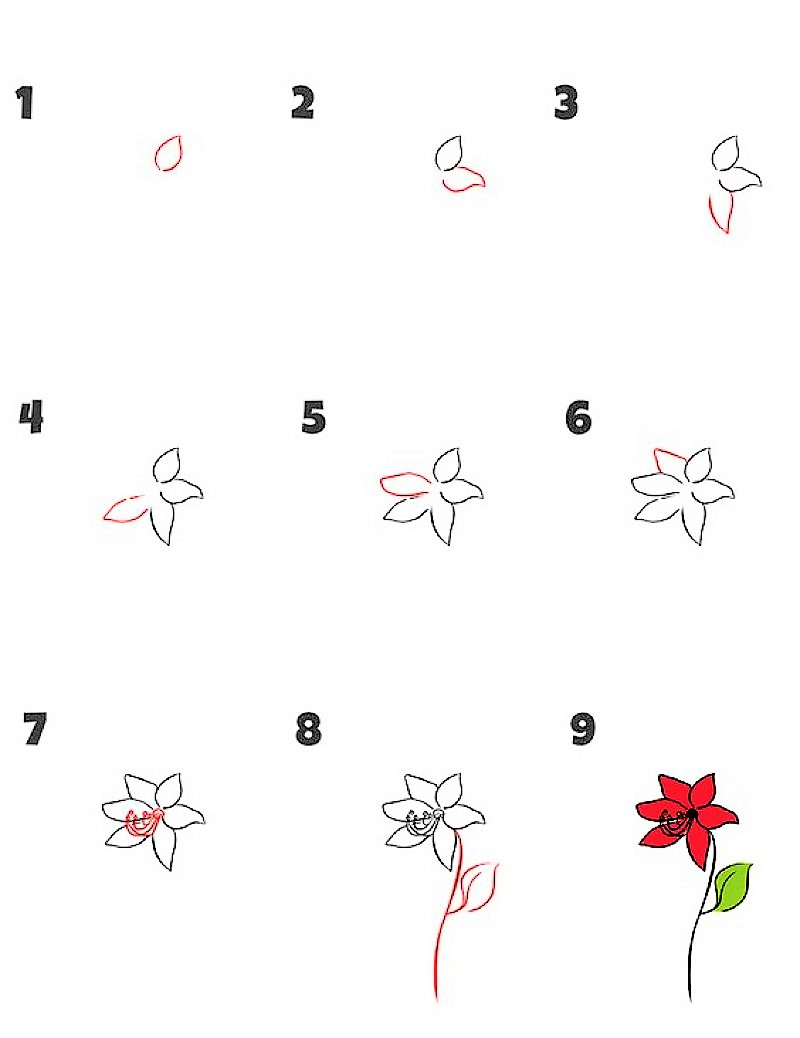 Dibujos de Lirio morado