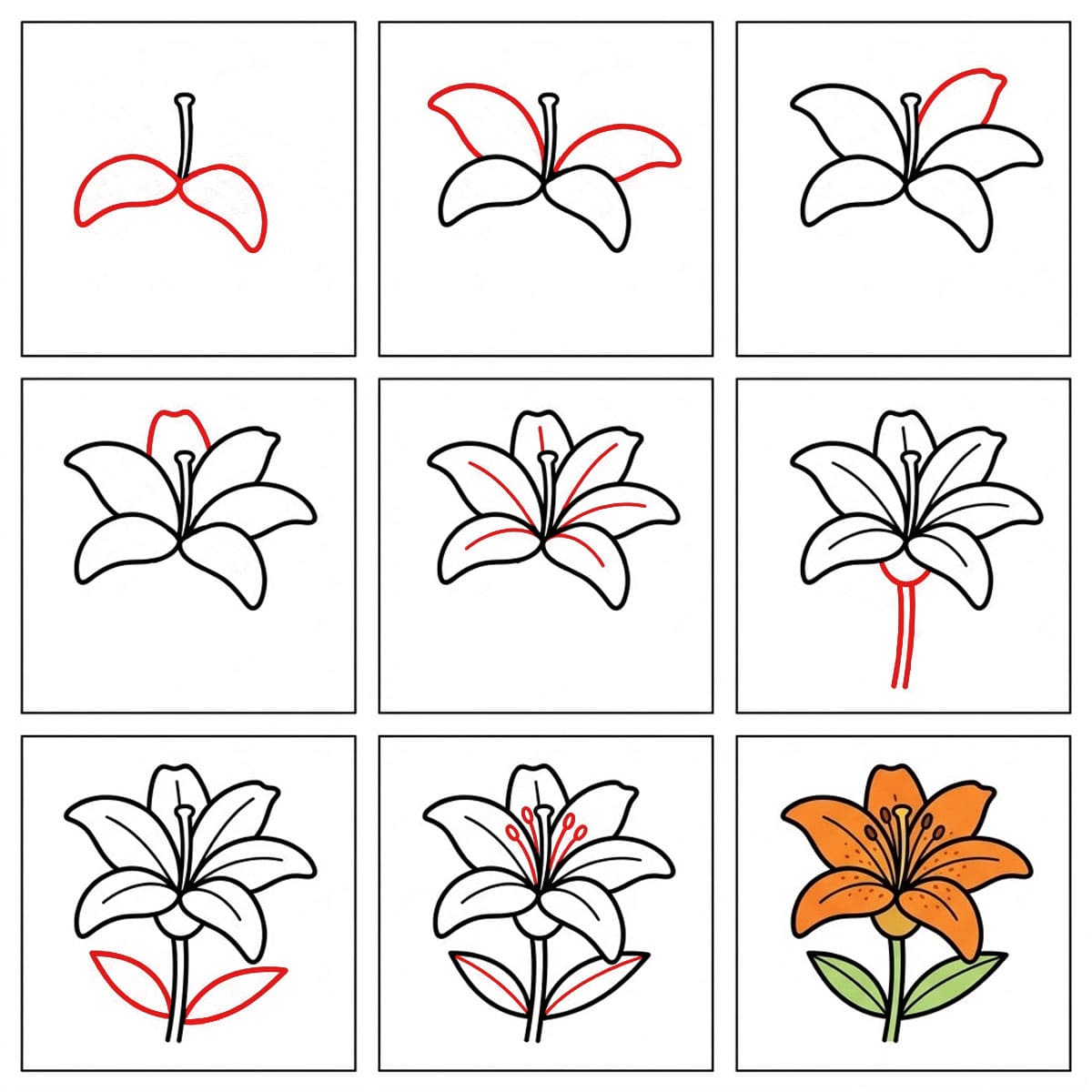 Dibujos de Lirio rosa