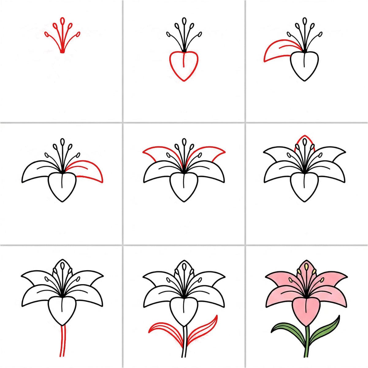 Dibujos de Lirio sencillo