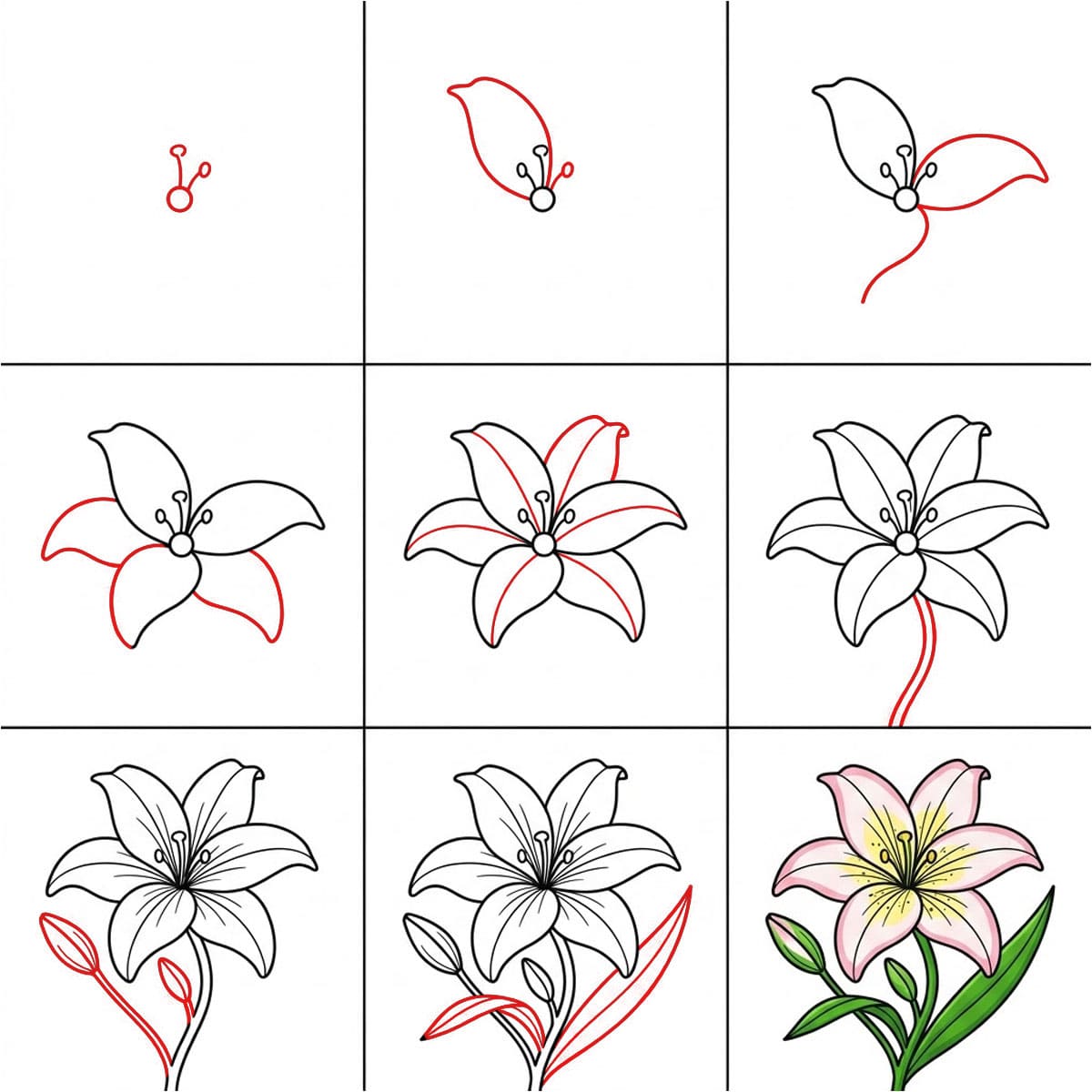 Dibujos de Lirio sonriente