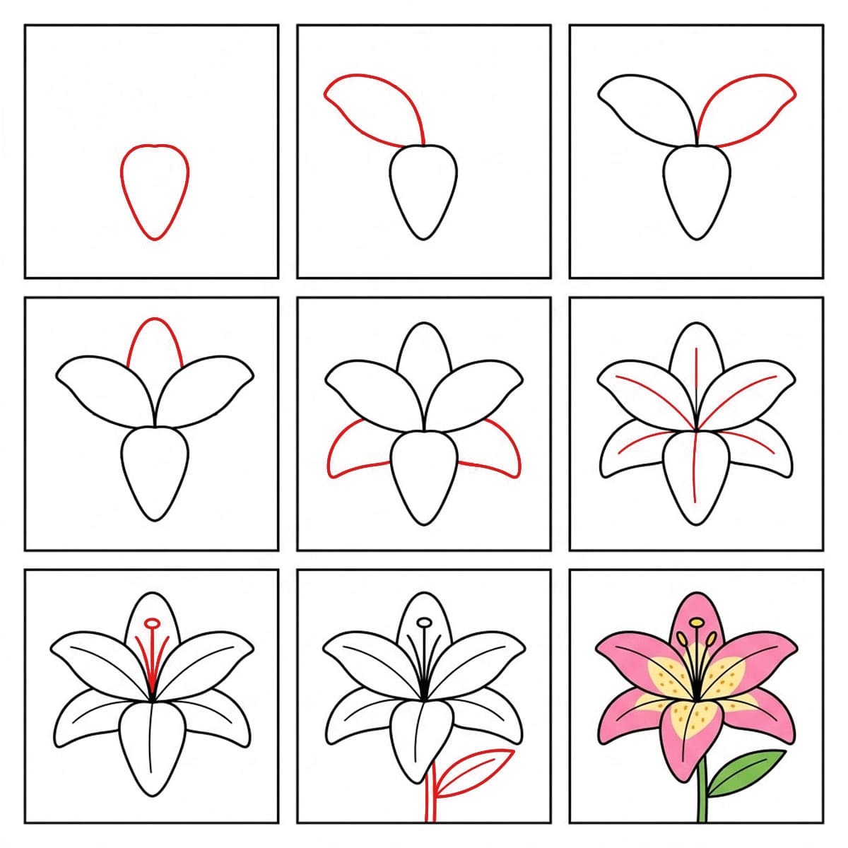 Dibujos de Lirio tierno