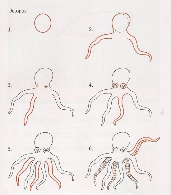 Dibujos de Pulpo gigante