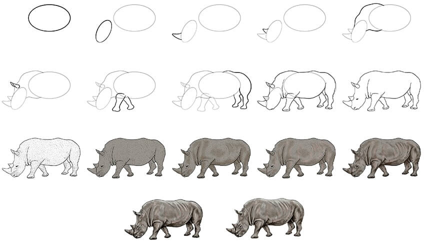 Dibujos de Rinoceronte detallado
