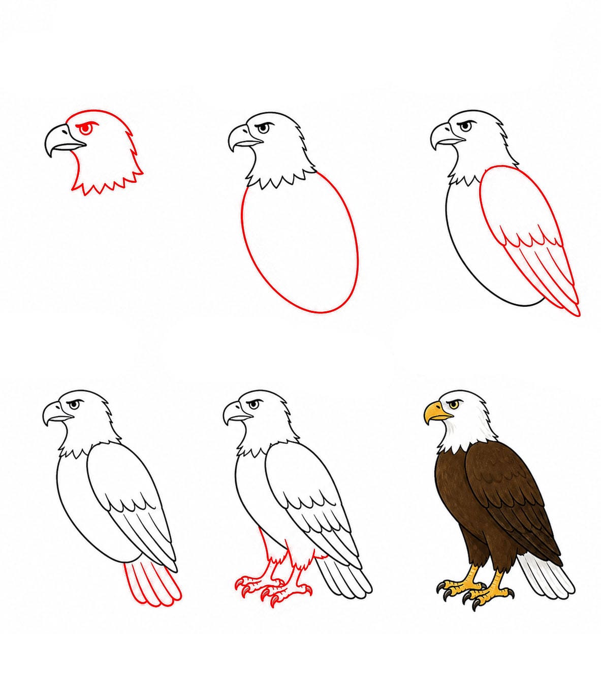 Dibujos de Águila bebé