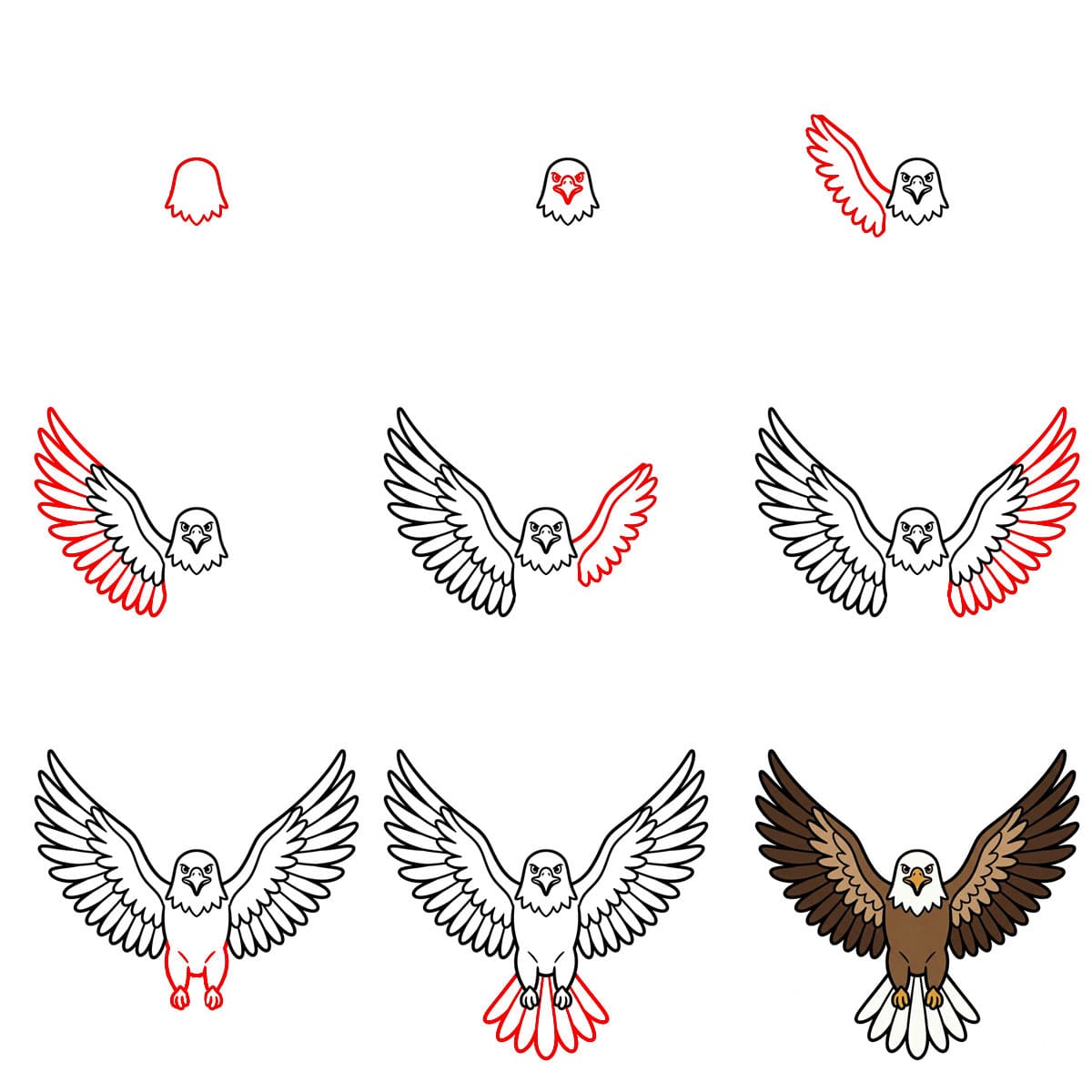 Dibujos de Águila calva