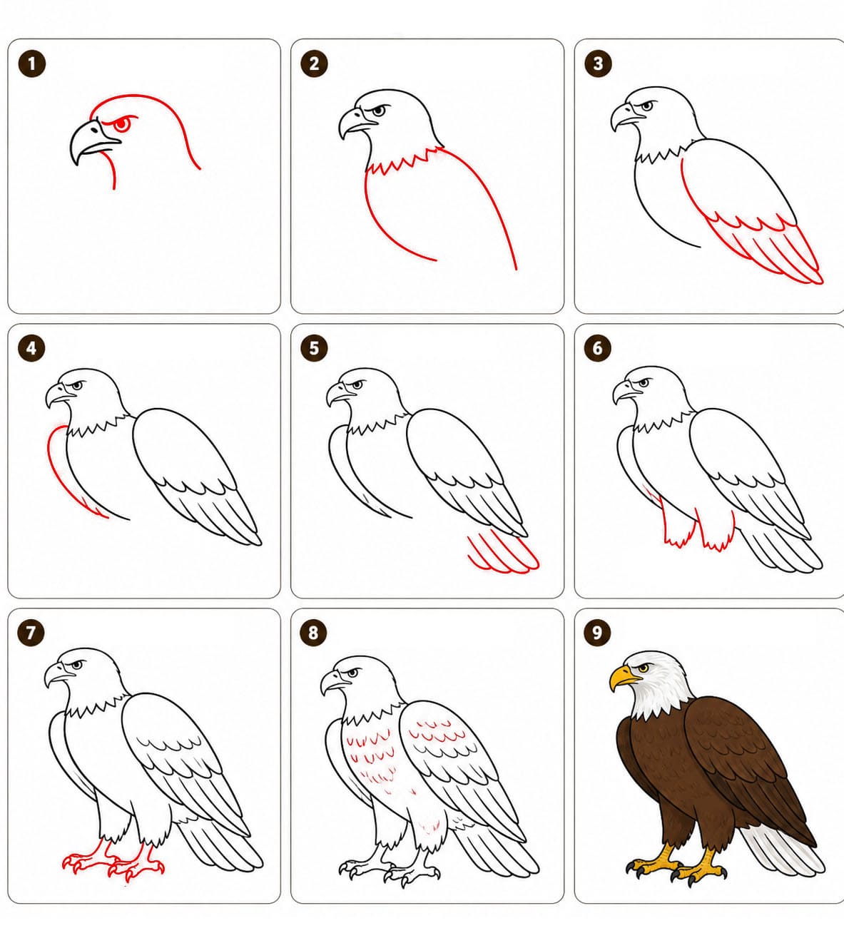 Dibujos de Águila cazando