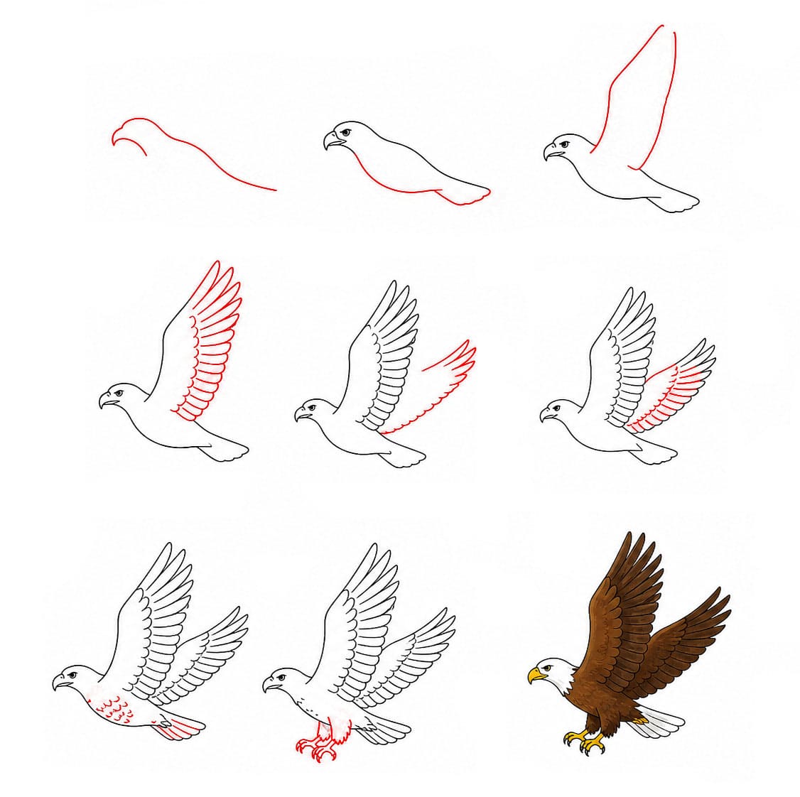 Dibujos de Águila dorada