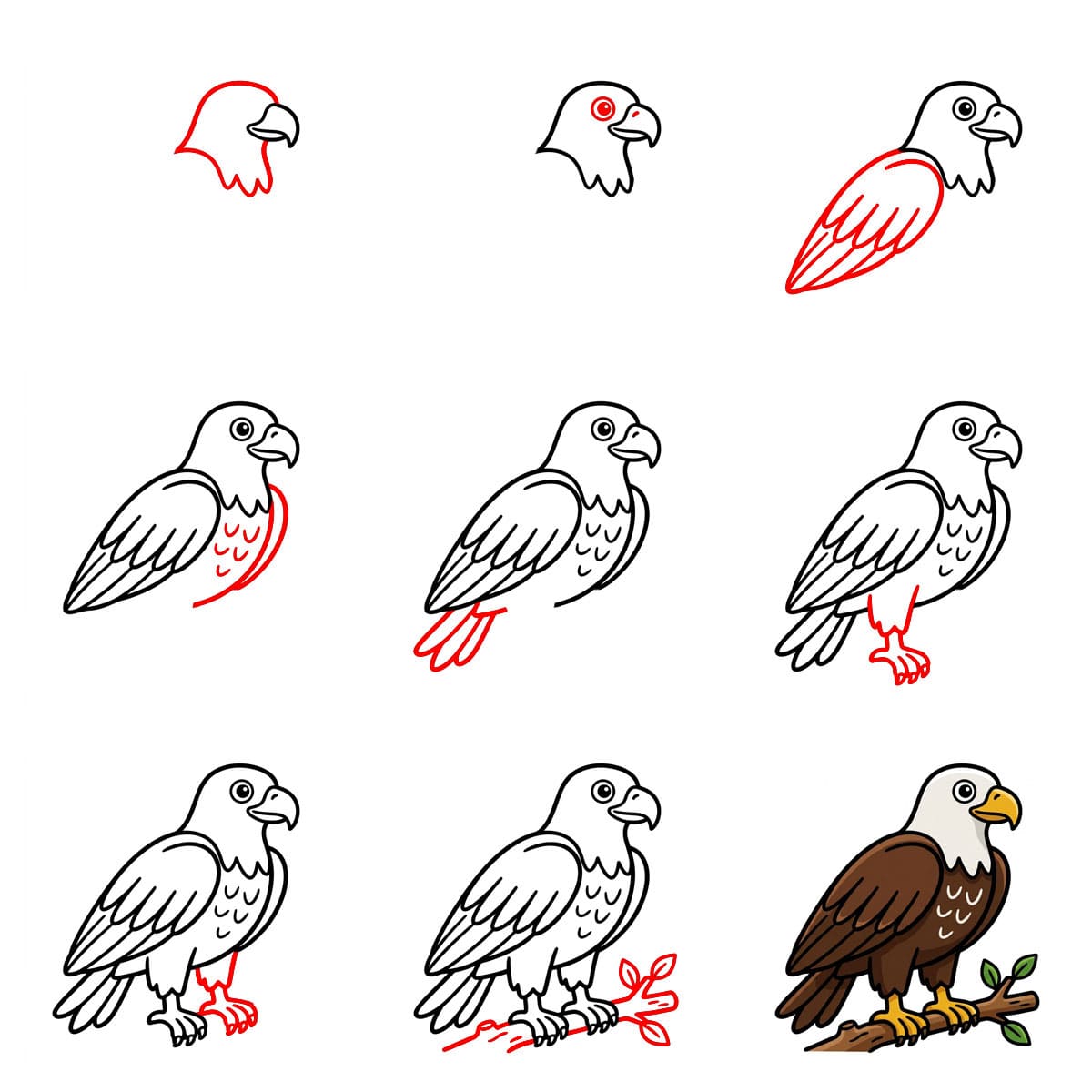 Dibujos de Águila en vuelo