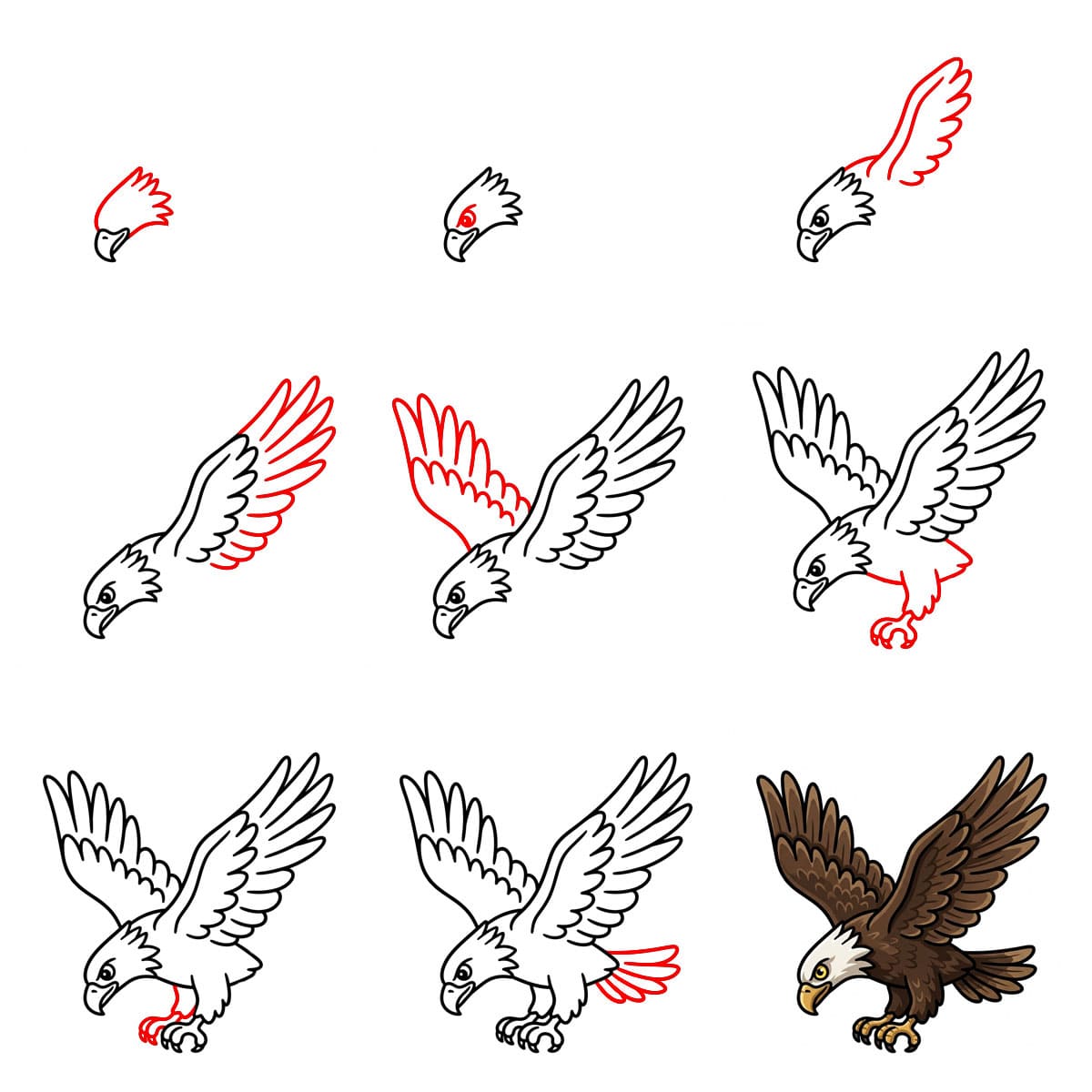 Dibujos de Águila imperial