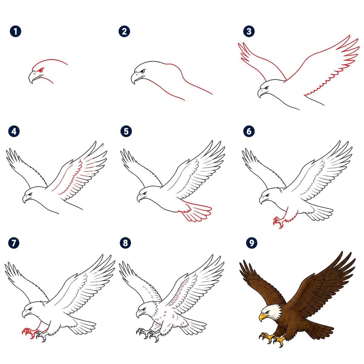 Dibujos de Águila poderosa