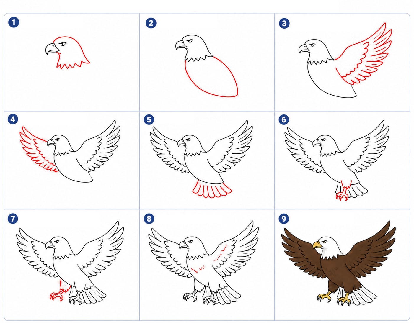 Dibujos de Águila salvaje