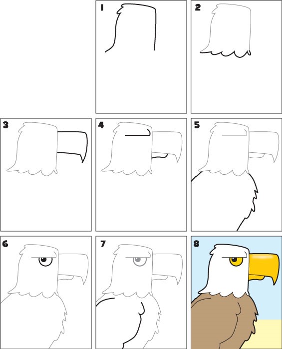 Dibujos de Cabeza de águila