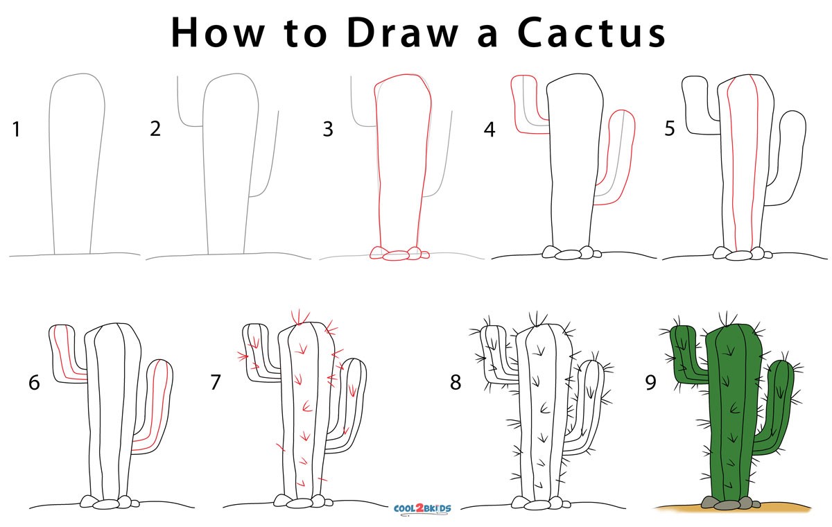 Dibujos de Cactus verde