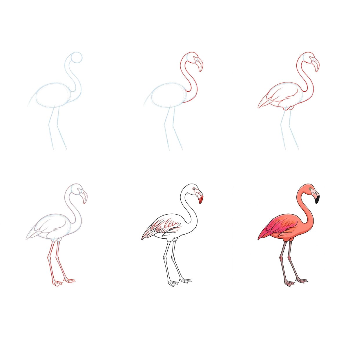 Dibujos de Flamenco adorable