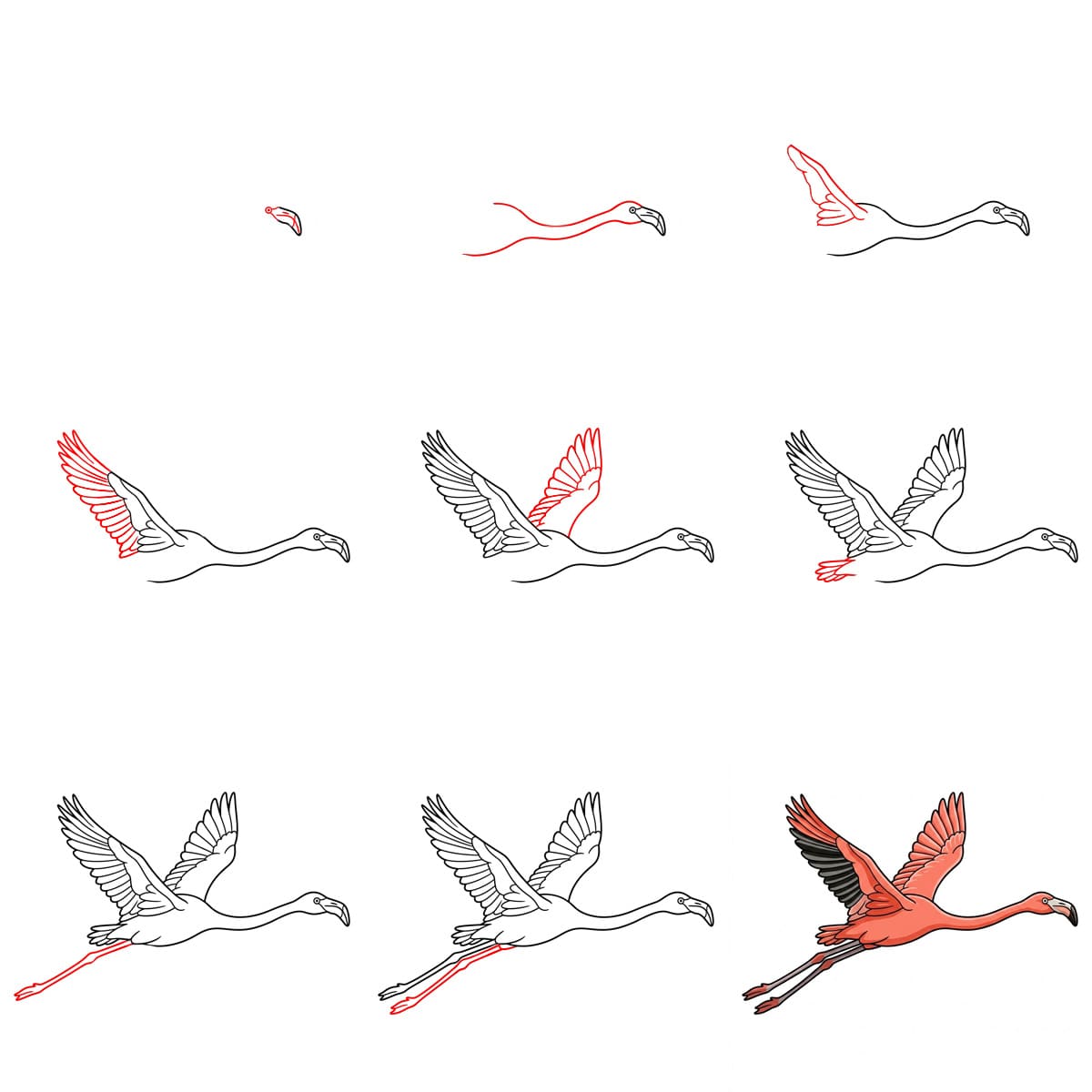 Dibujos de Flamenco bebé