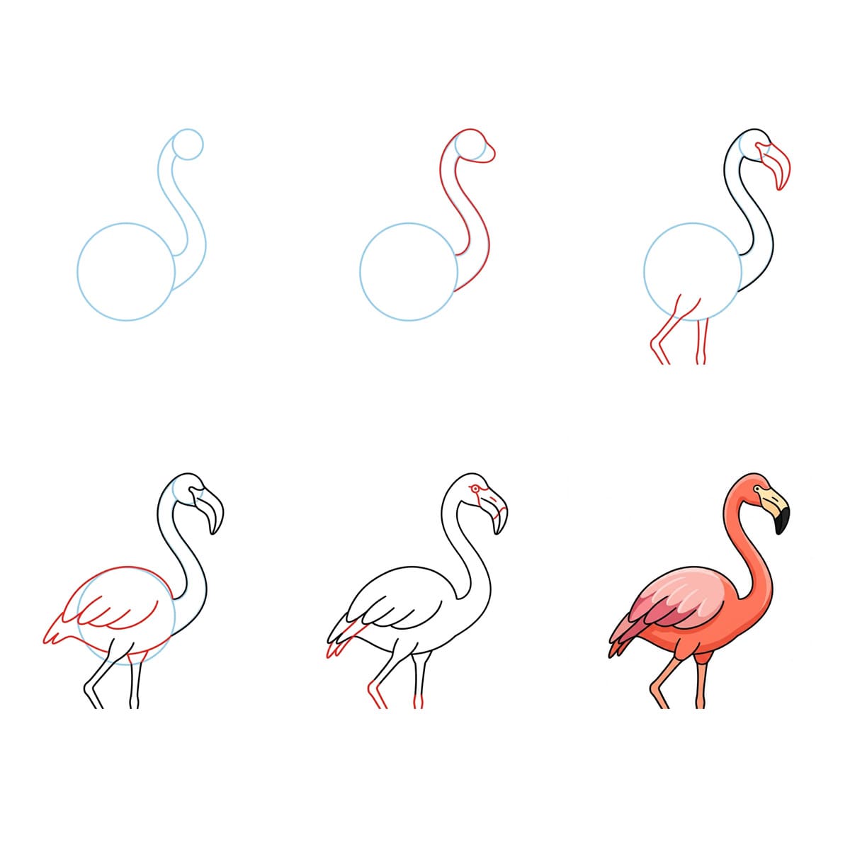 Dibujos de Flamenco con alas abiertas