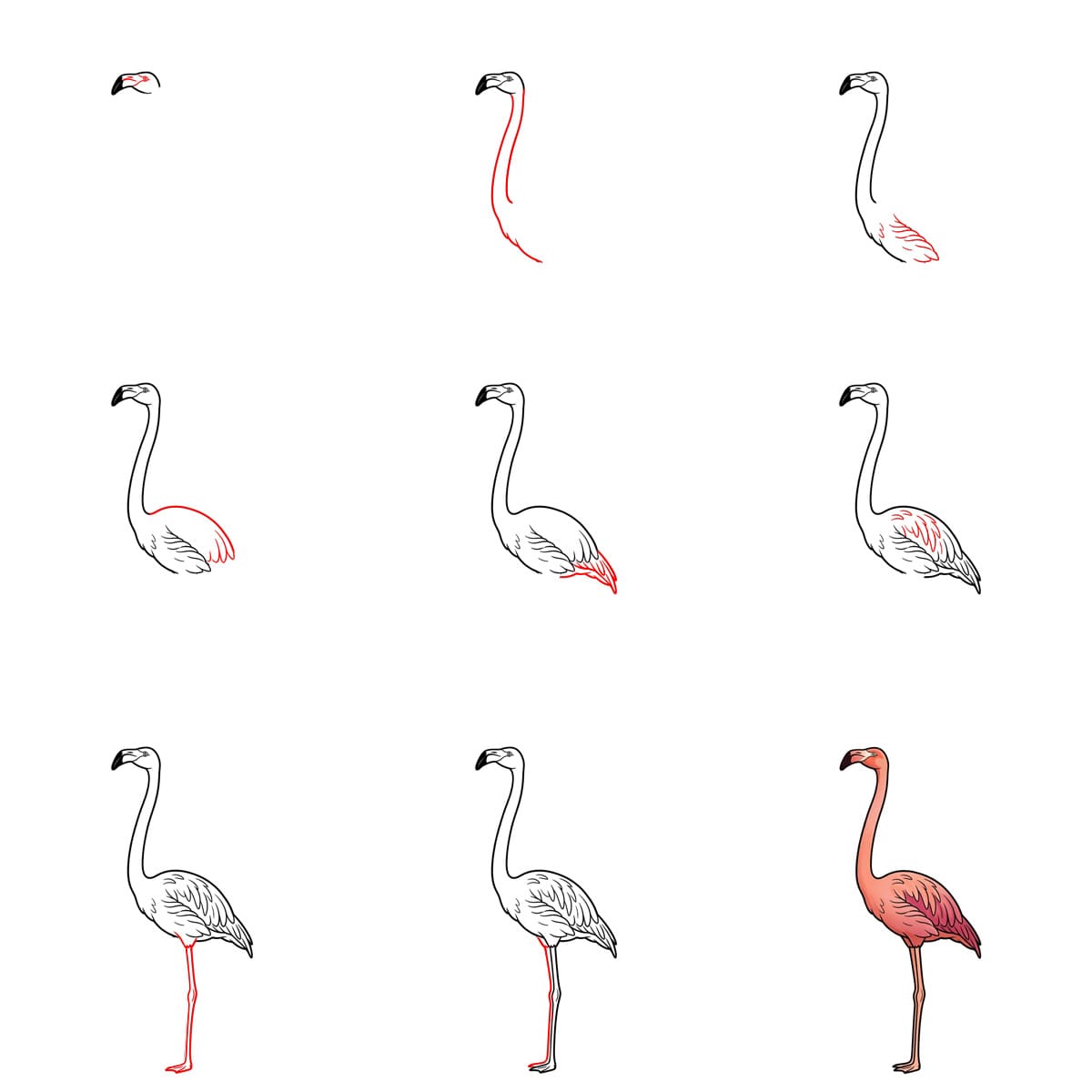 Dibujos de Flamenco de caricatura