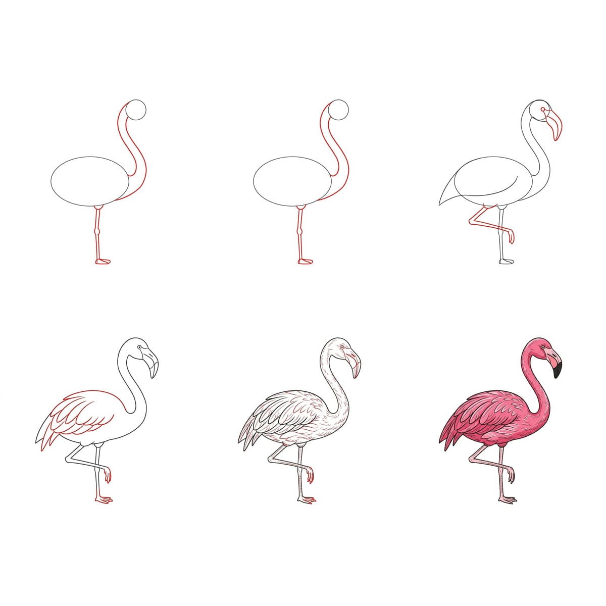 Dibujos de Flamenco de pie