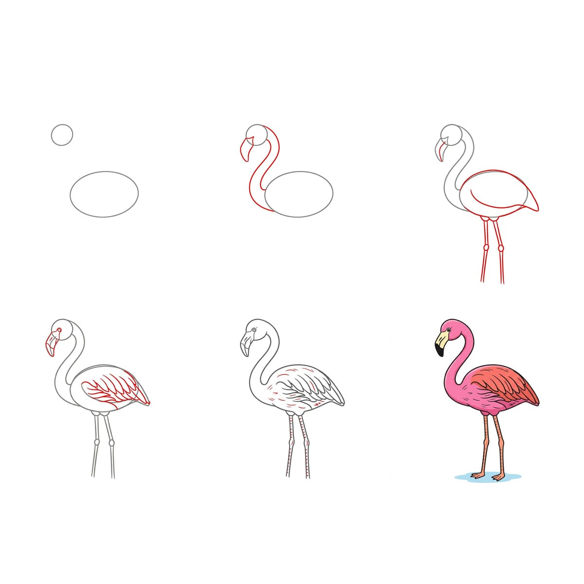 Dibujos de Flamenco en el lago