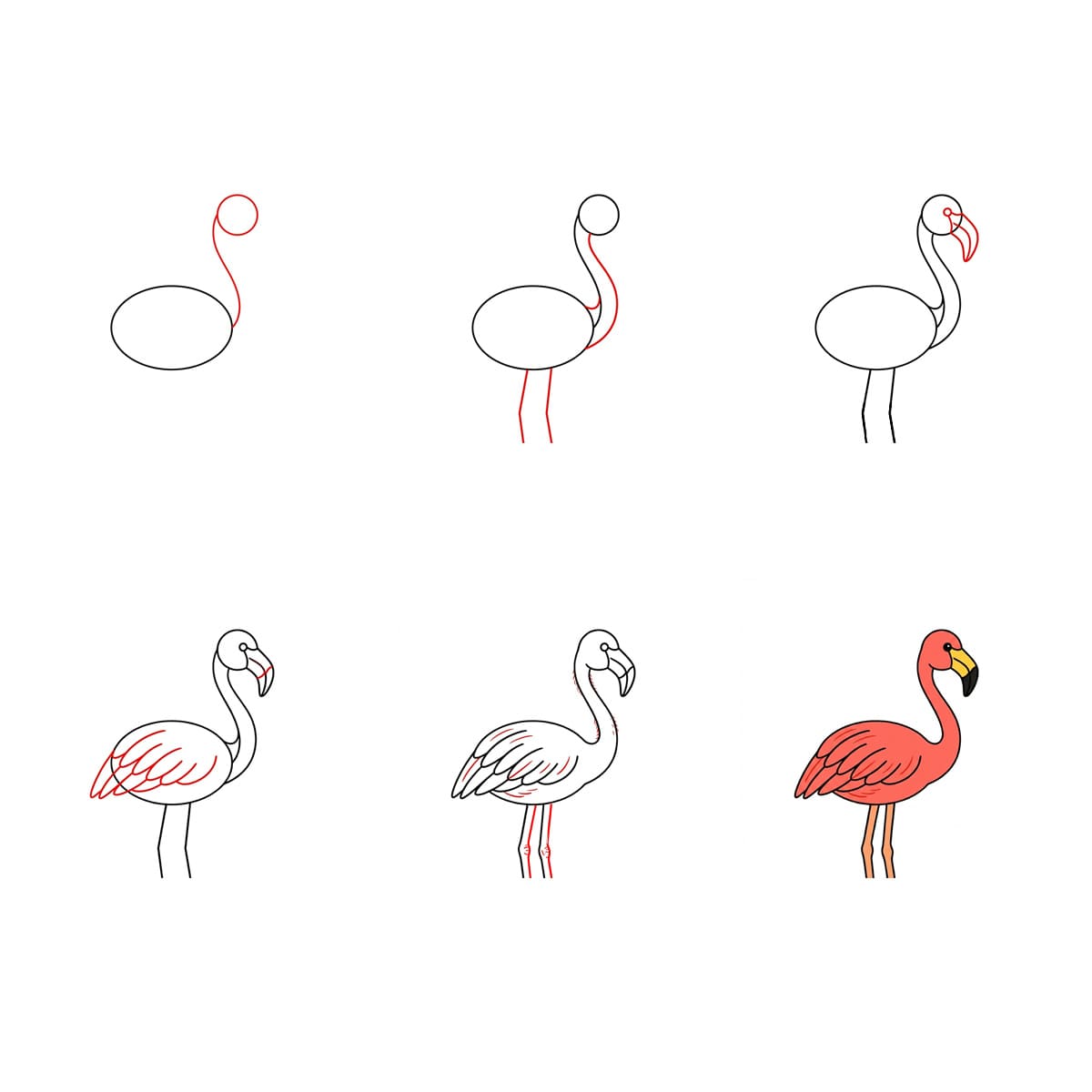 Dibujos de Flamenco rosa