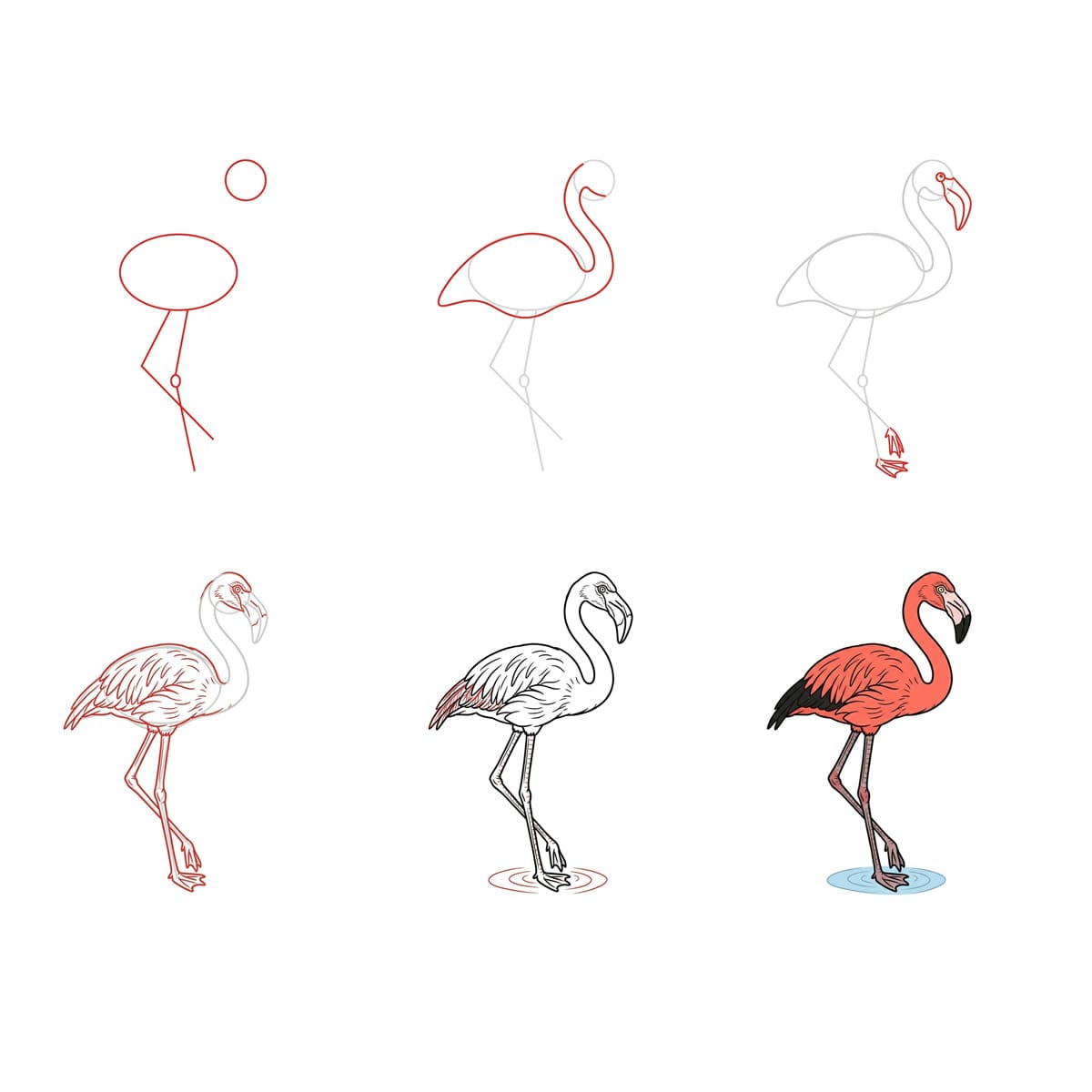 Dibujos de Flamenco volando
