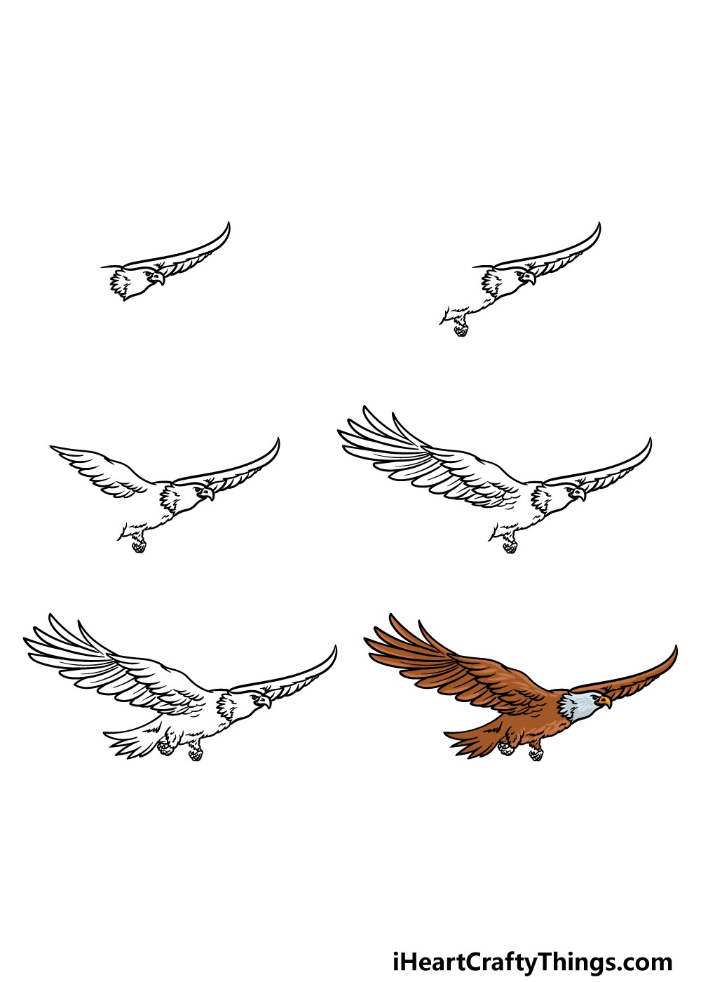 Dibujos de Gran águila