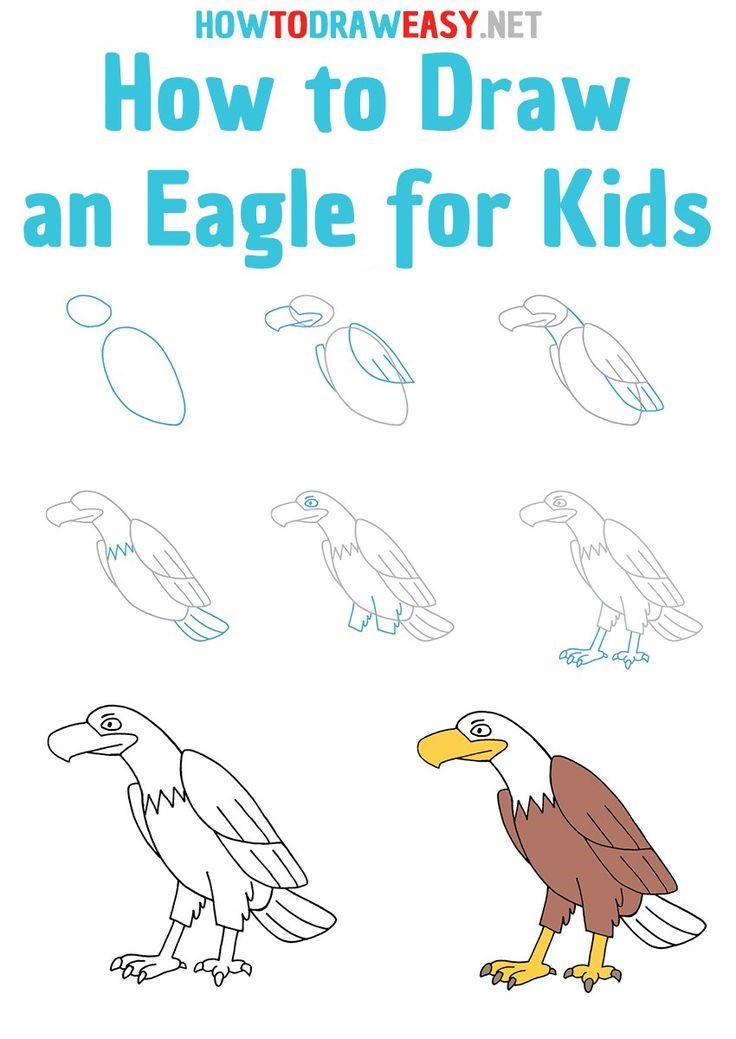 Dibujos de Águila adulta