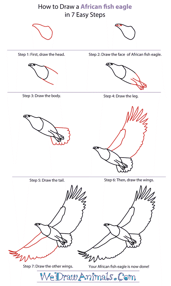 Dibujos de Águila con alas abiertas
