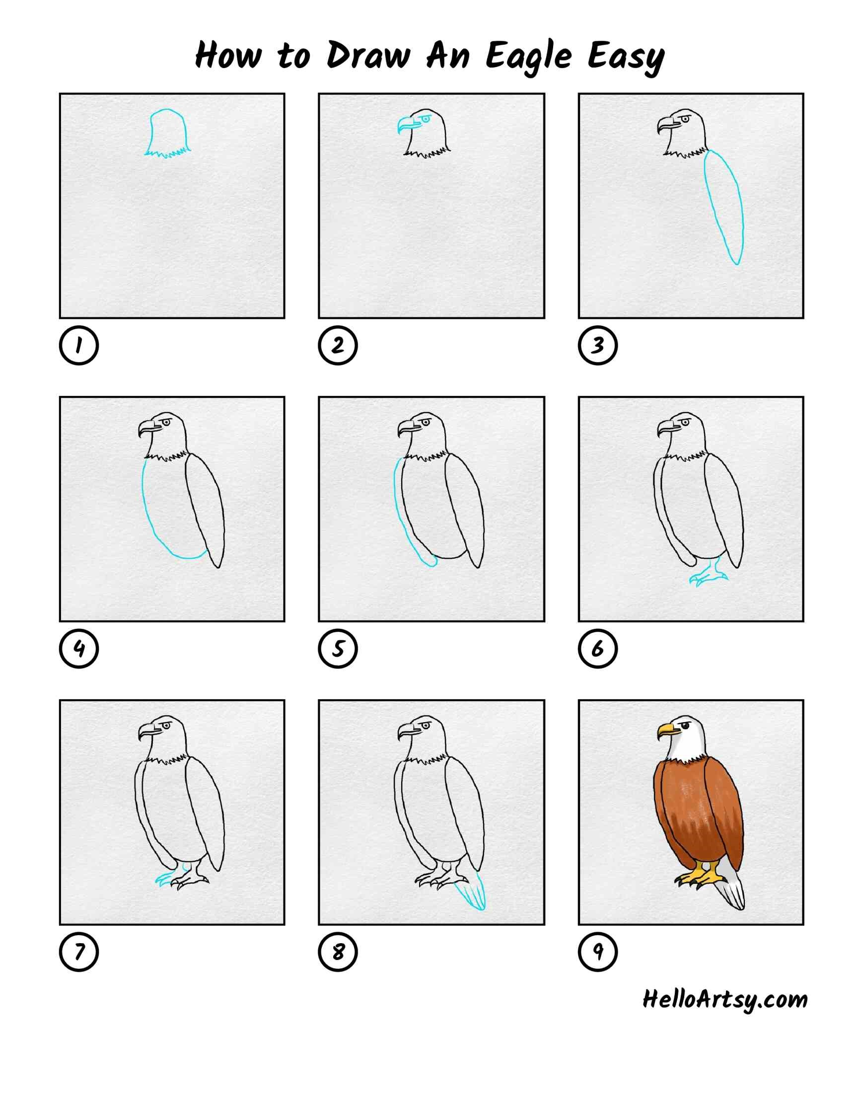 Dibujos de Águila de montaña