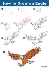 Dibujos de Águila realista