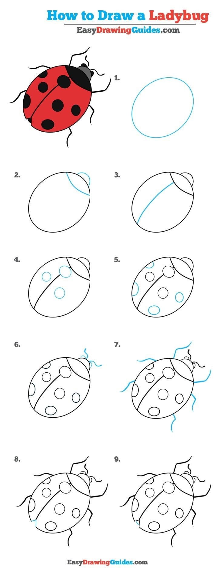 Dibujos de Mariquita con alas abiertas