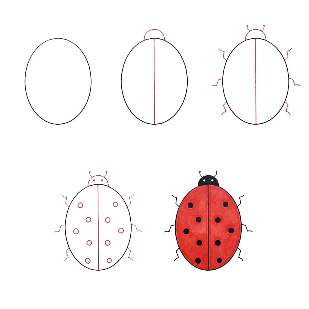 Dibujos de Mariquita de jardín