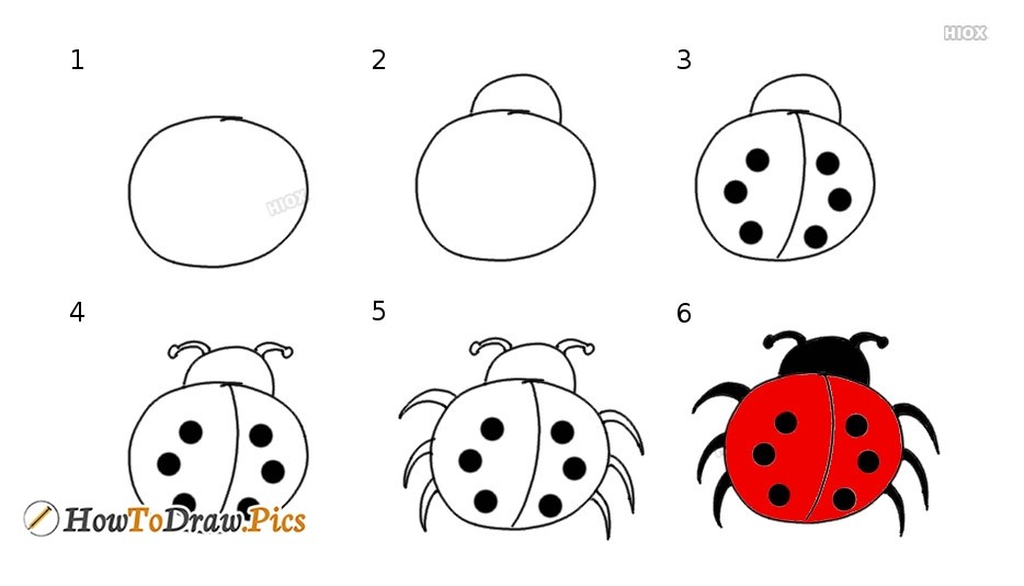 Dibujos de Mariquita fácil