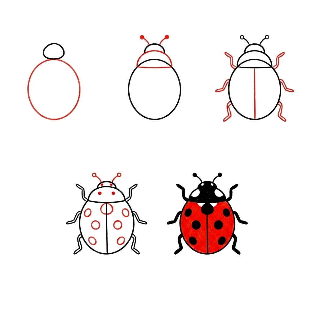 Dibujos de Mariquita tierna