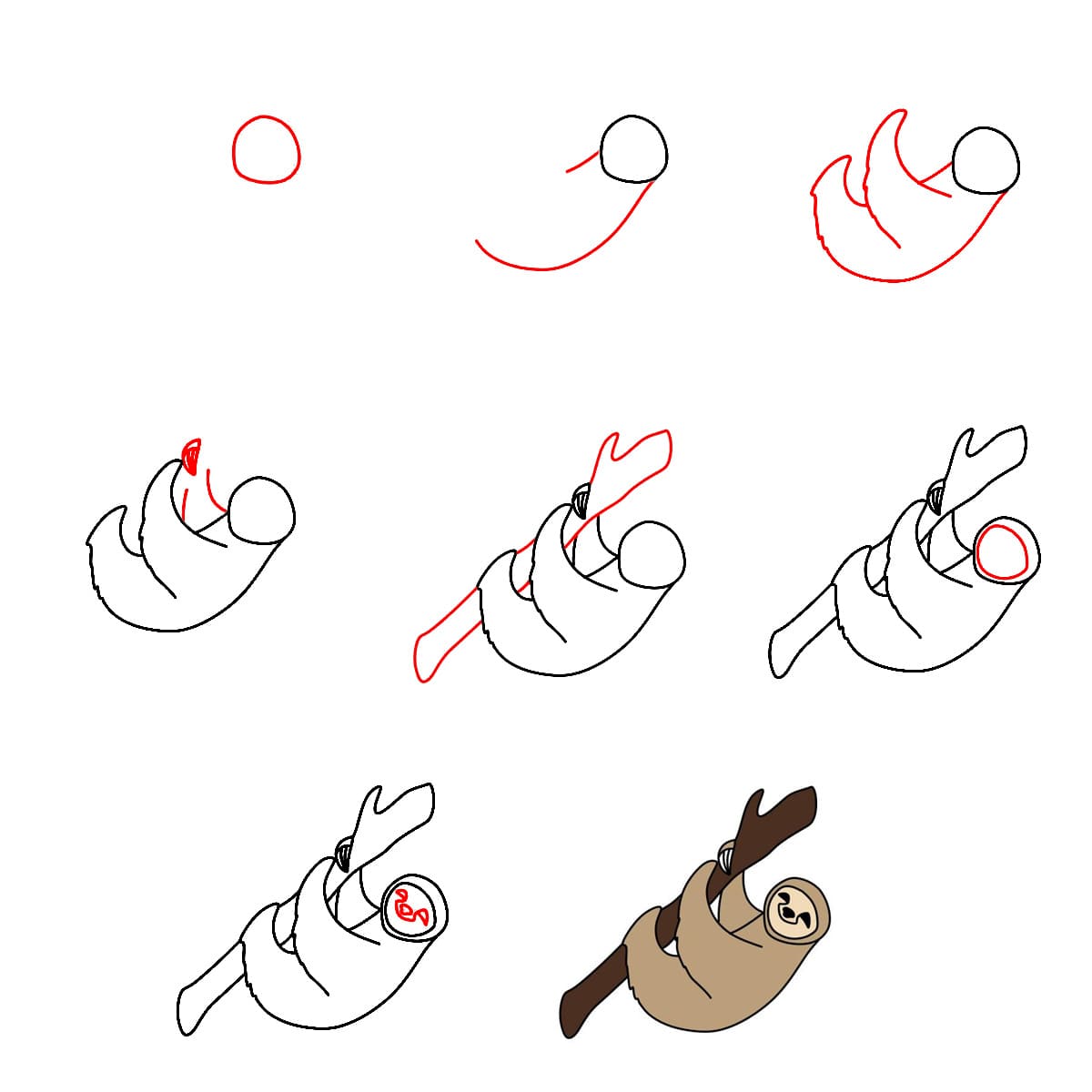 Dibujos de Perezoso realista