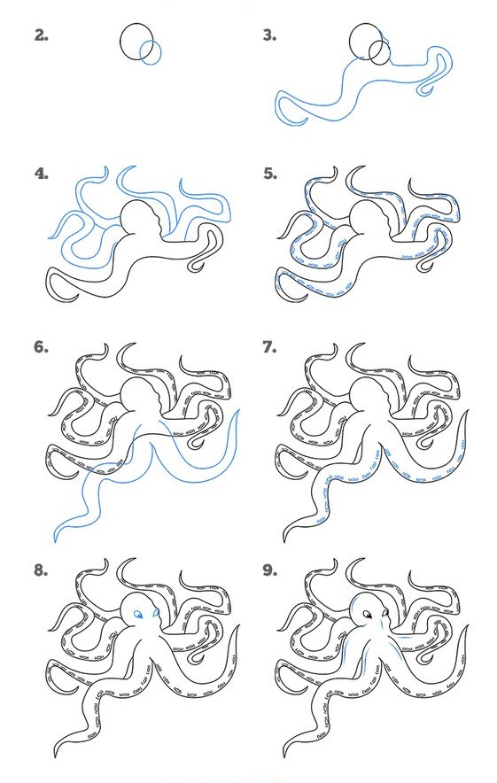 Dibujos de Pulpo animado