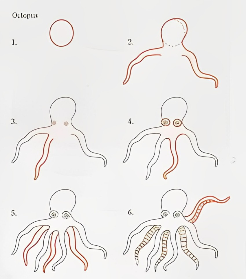 Dibujos de Pulpo detallado