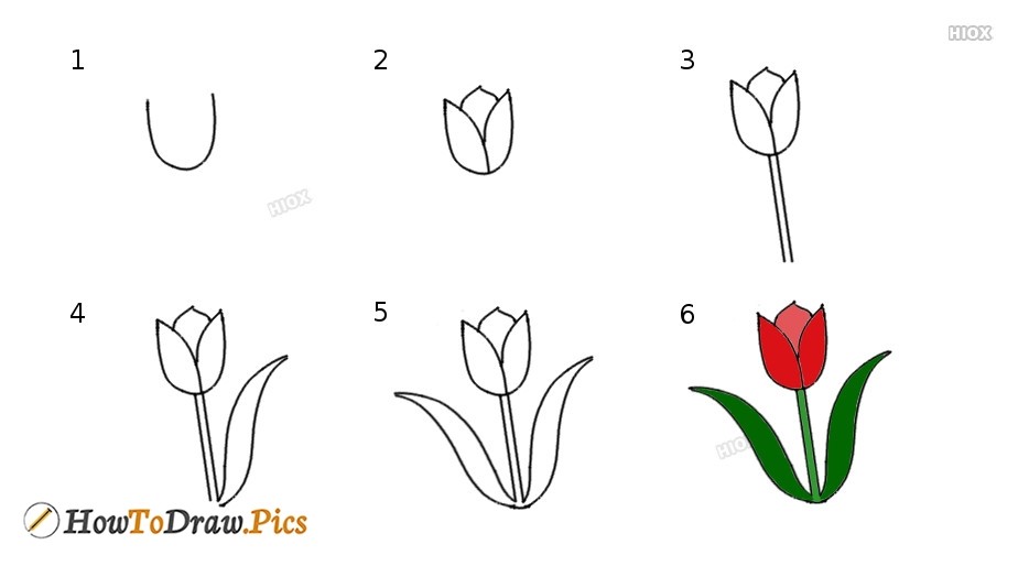 Dibujos de Un tulipán - Idea 6