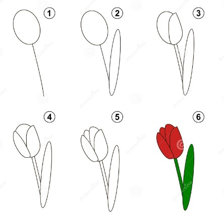 Dibujos de Un tulipán - Idea 7