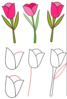 Dibujos de Un tulipán - Idea 8