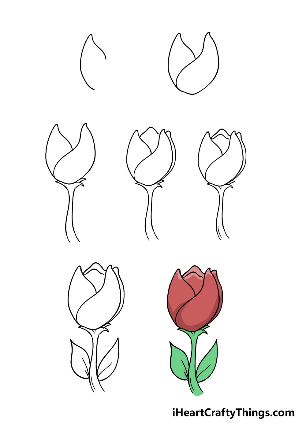 Dibujos de Una simple flor de tulipán